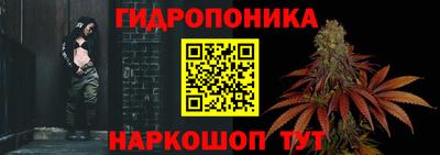 стаф Сланцы